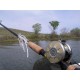 Купить Катушка мультипликаторная SHIMANO Cardiff 301A (LH), 4 ш.п. + 1 р. -2